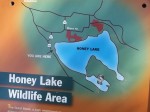 What Honey Lake should have been